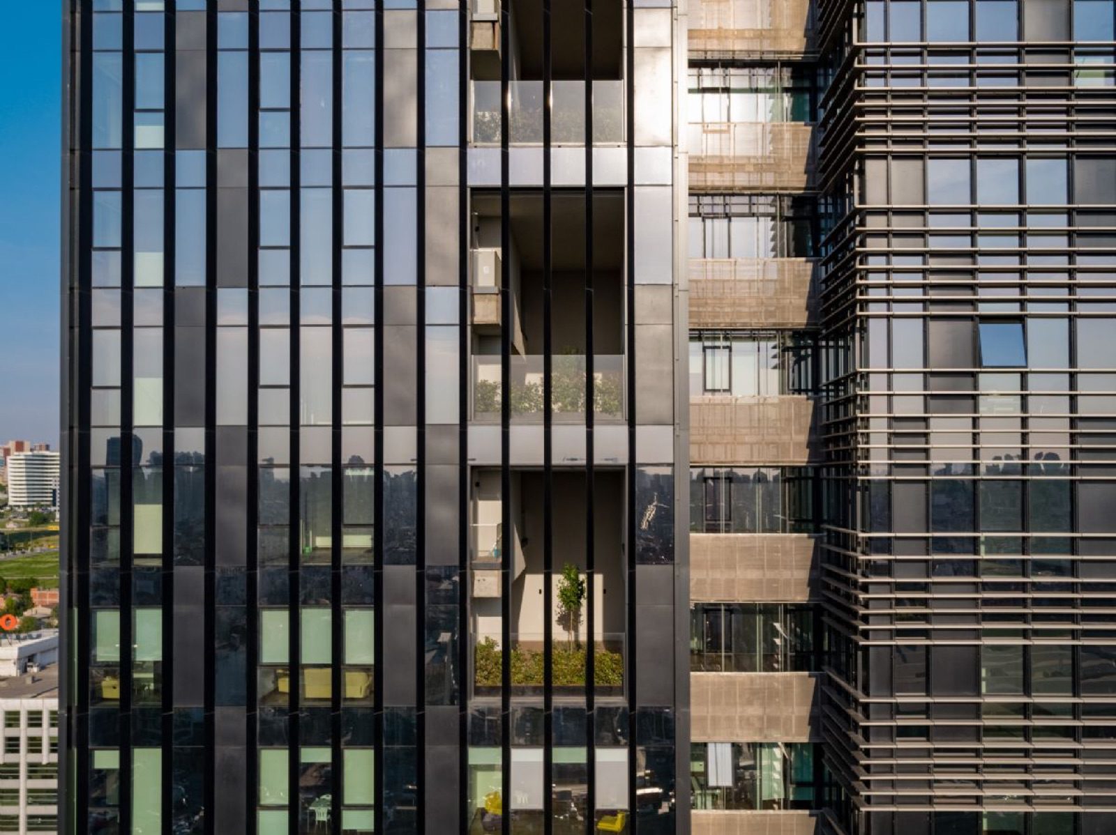 BALANCE GÜNEŞLİ 2